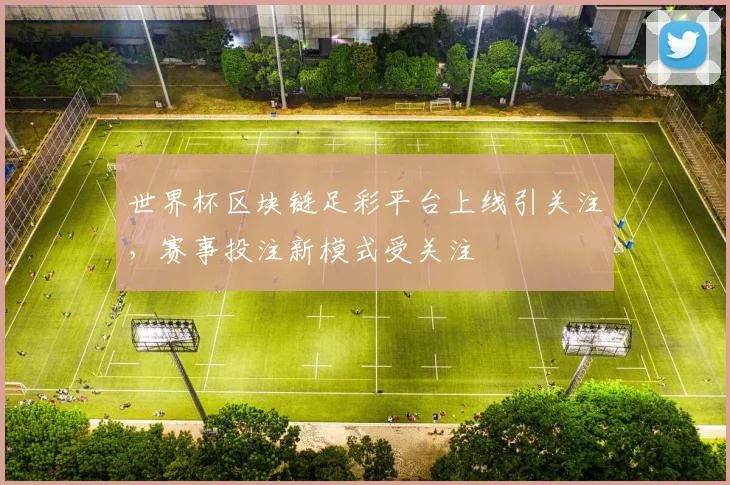 世界杯区块链足彩平台上线引关注，赛事投注新模式受关注